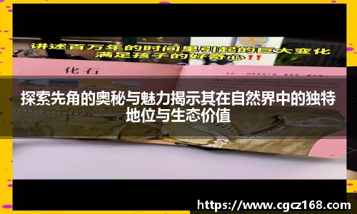 盛煌娱乐